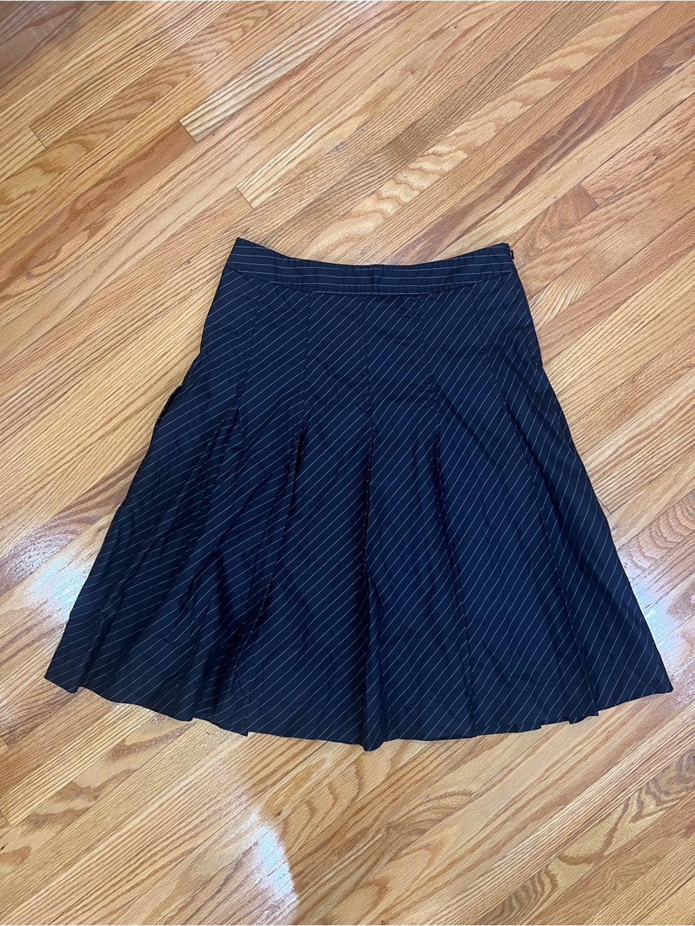 Black Pinstripe Pleated Women's Skirt